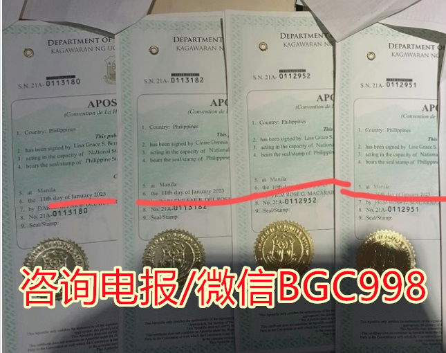 对于持有菲律宾博彩工签有什么建议？