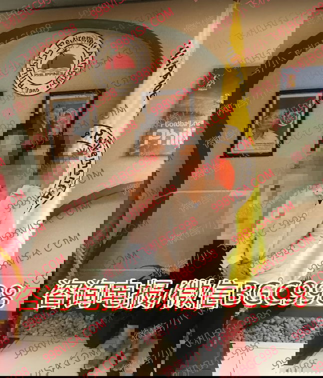菲律宾商务签在哪里办？