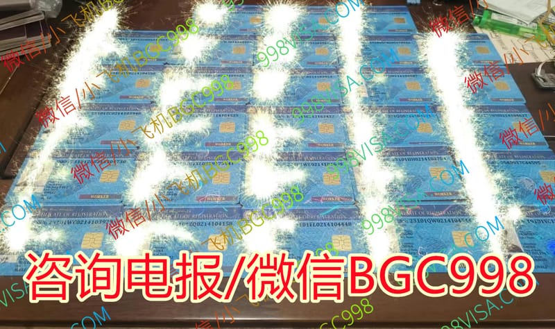 2026年菲律宾常年报到
