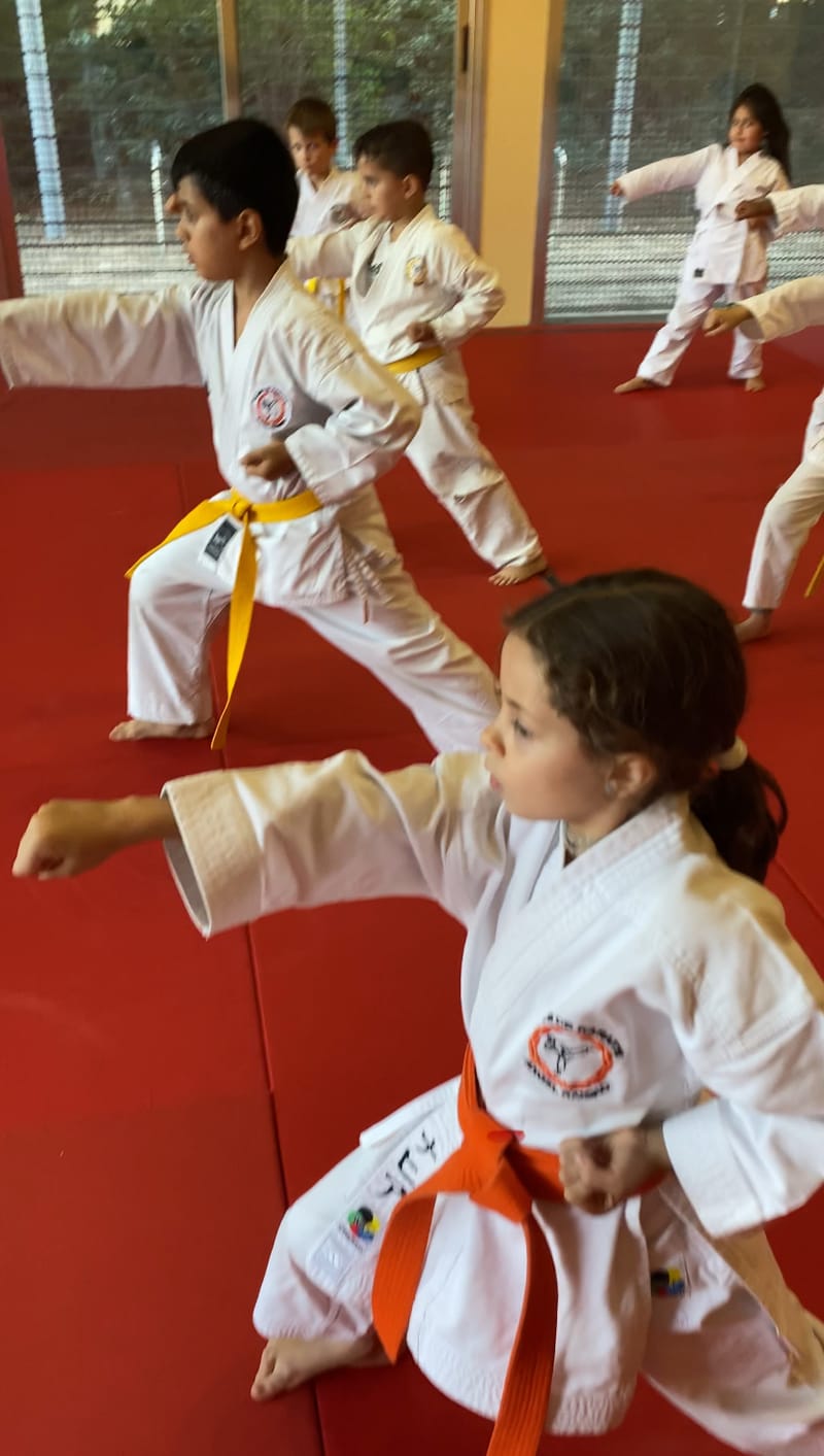 Descubre los Beneficios del Karate para Todas las Edades