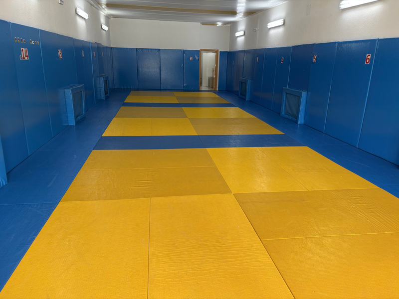 ¡Nuevas clases de karate en el Colegio Zola de Las Rozas!