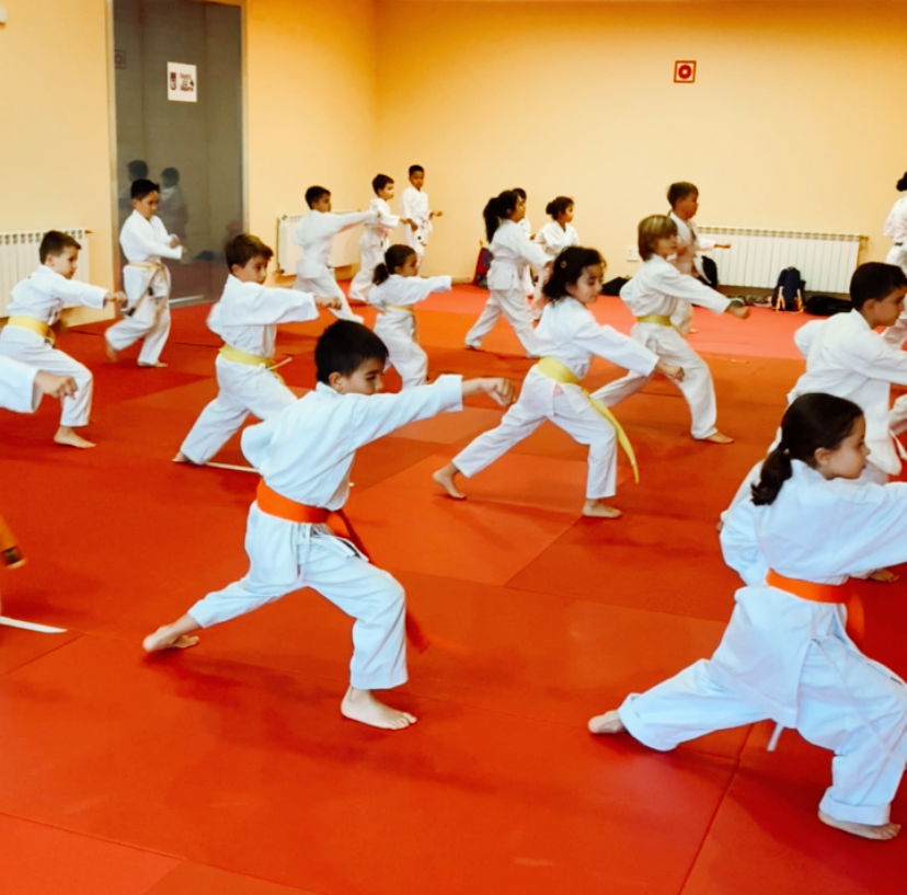 Clases de karate para niños.