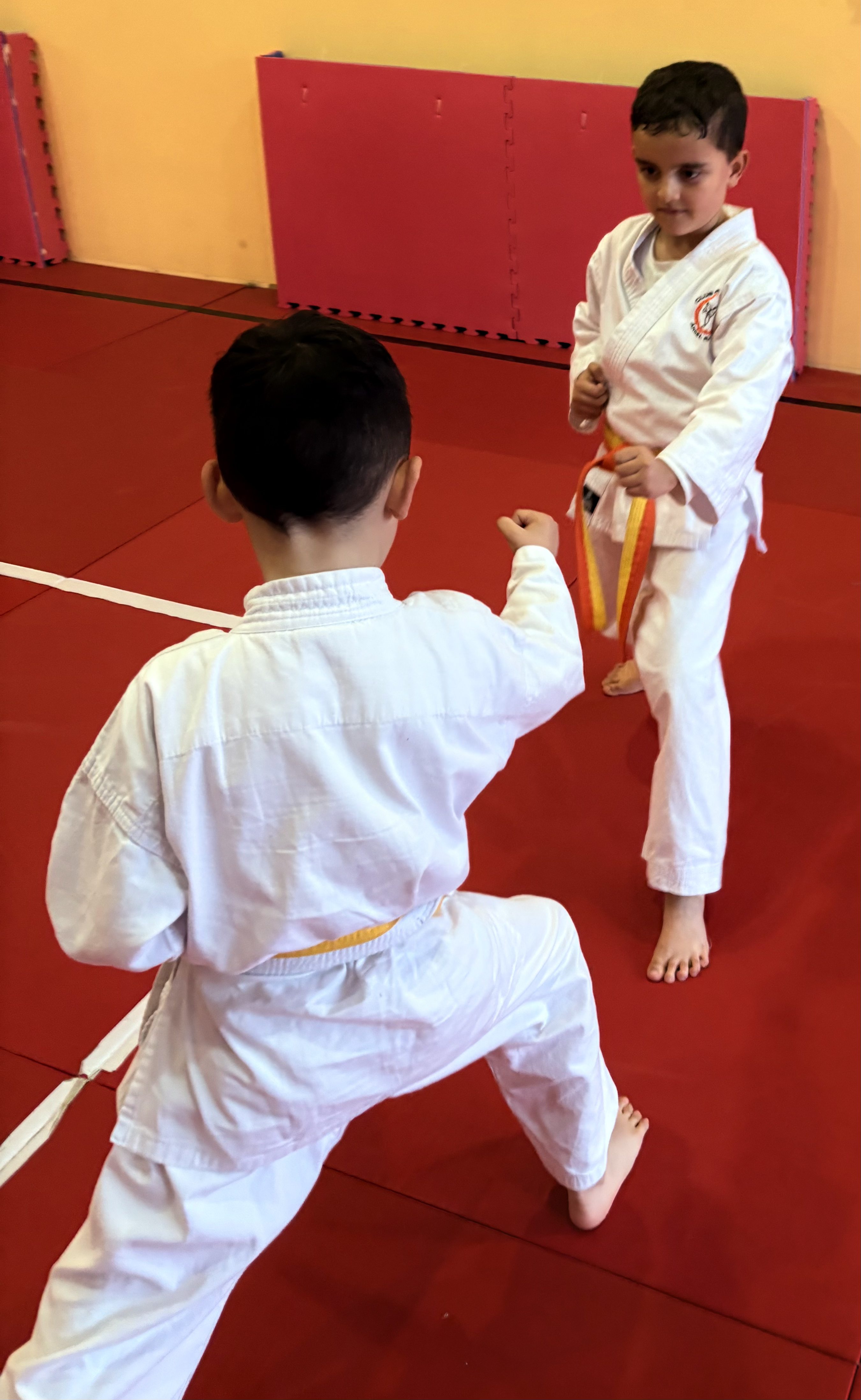 Beneficios del karate