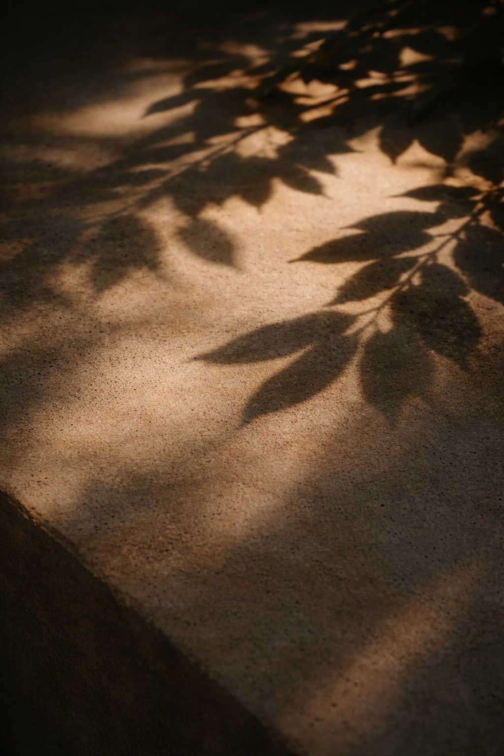 Je ne le sens pas bien