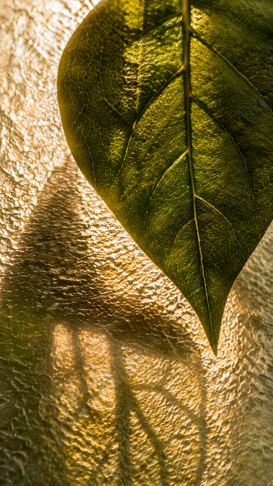 Ces signes que vous prenez pour “juste de la fatigue”