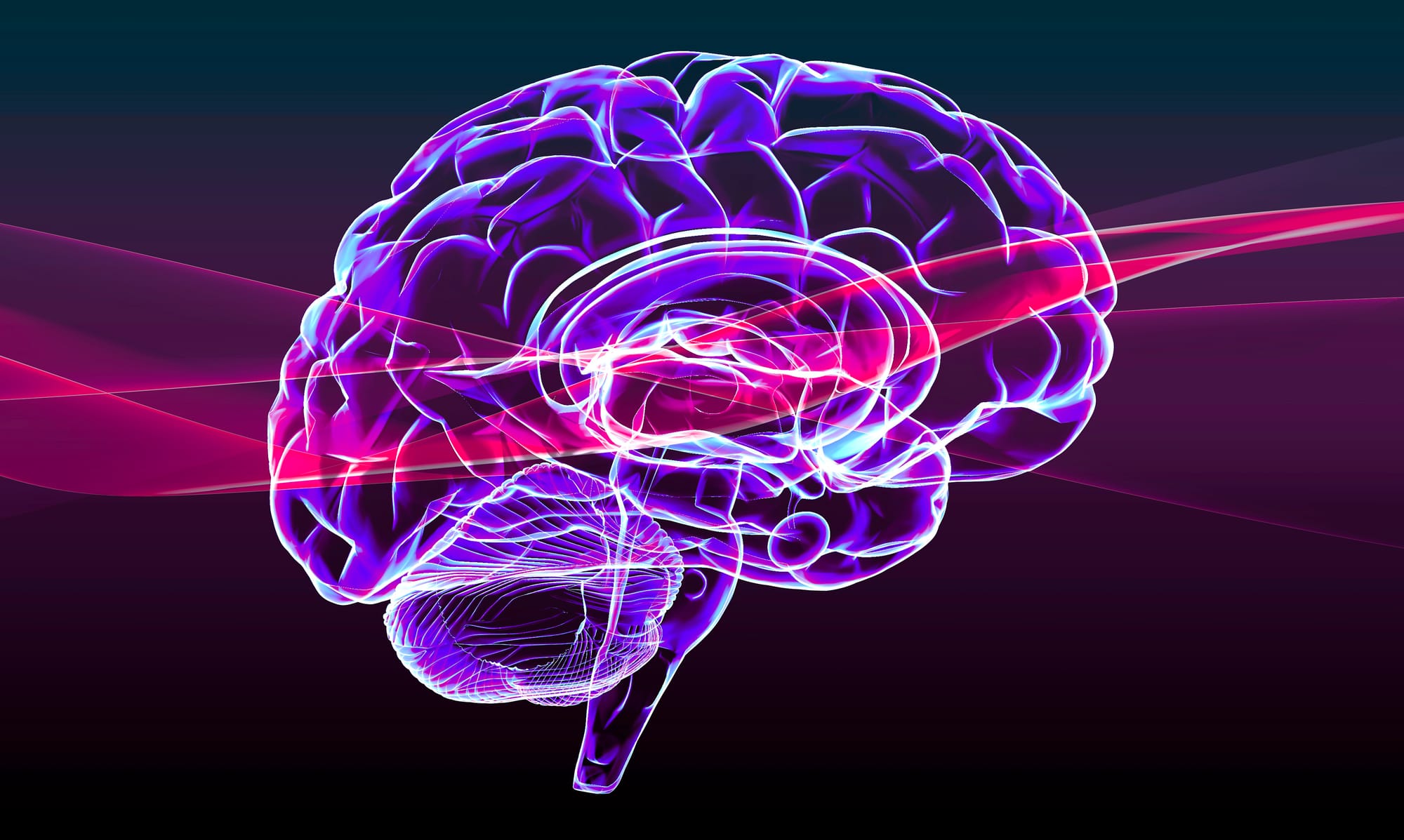 Neuroplasticity, What Is It?