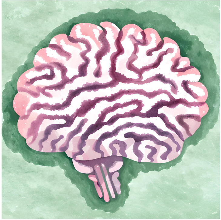 Understanding the Neuro-Affirming Movement & Gentle Sensory's Approach
