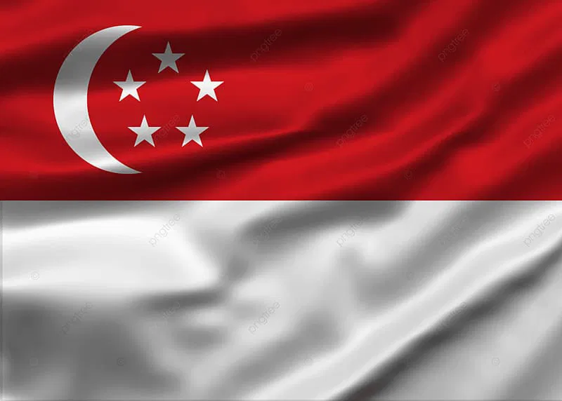 DOLLARO SINGAPORE