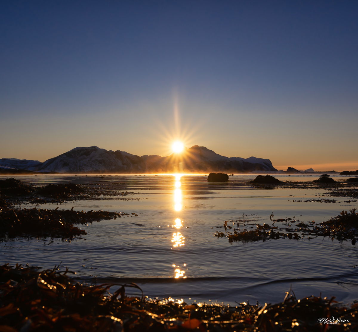 Kald vinterdag på Hornneset