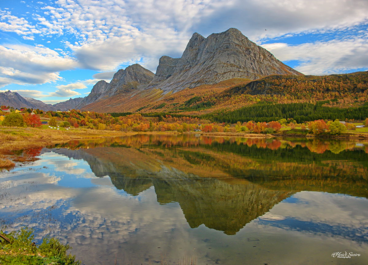 Spilderhesten høst07