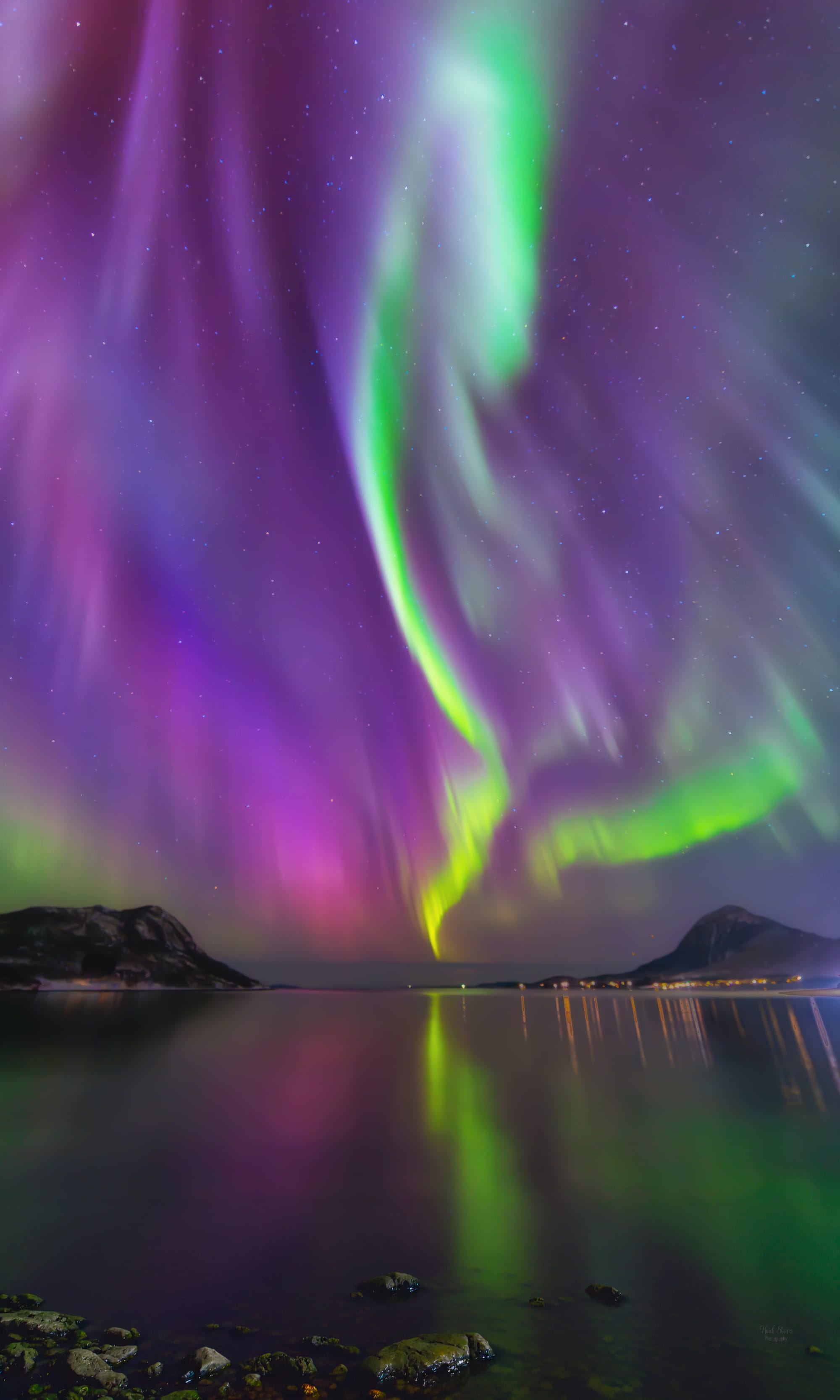 Aurora i grønt og lilla