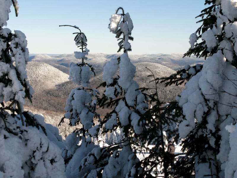 Our vision for conservation