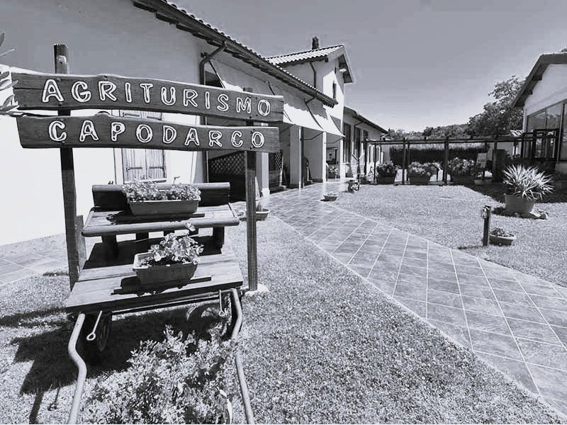 Energia pulita, inclusione reale: a Grottaferrata prende vita il primo fotovoltaico sociale