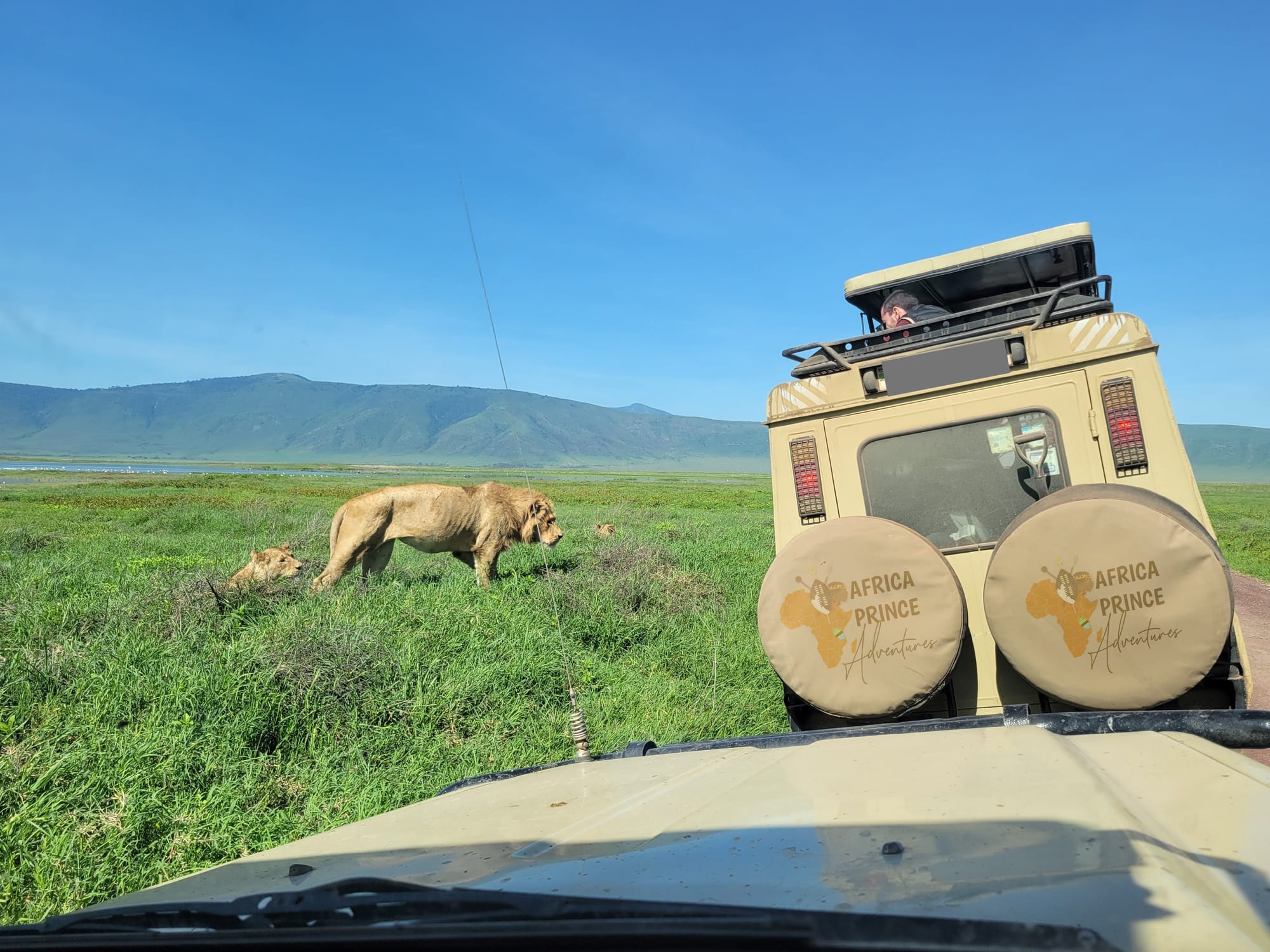 4 Days Serengeti, Ngorongoro and Tarangire Fly-In Lodge Safari From Zanzibar