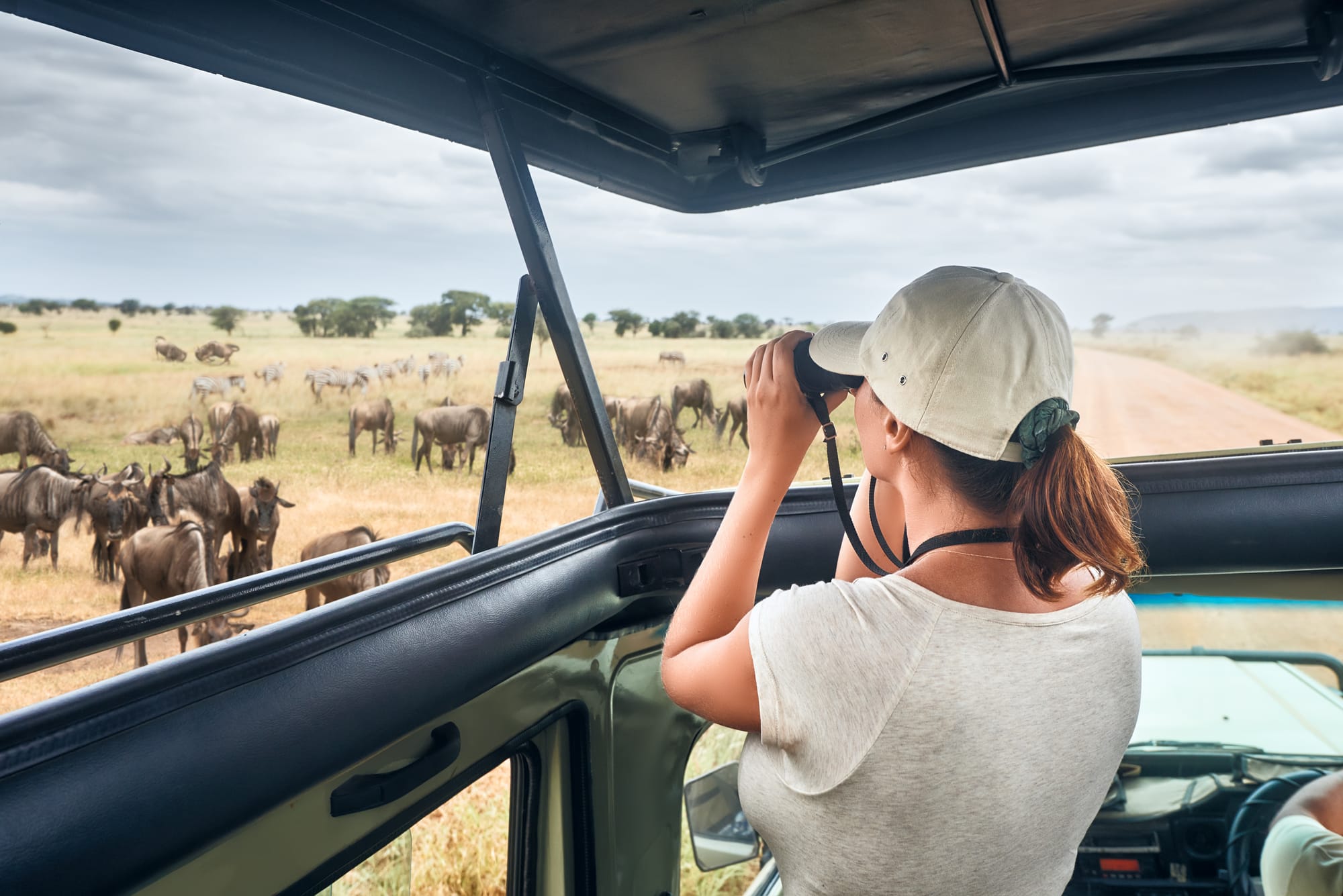 3 Days Safari Serengeti & Ngorongoro Crater Midrange lodge