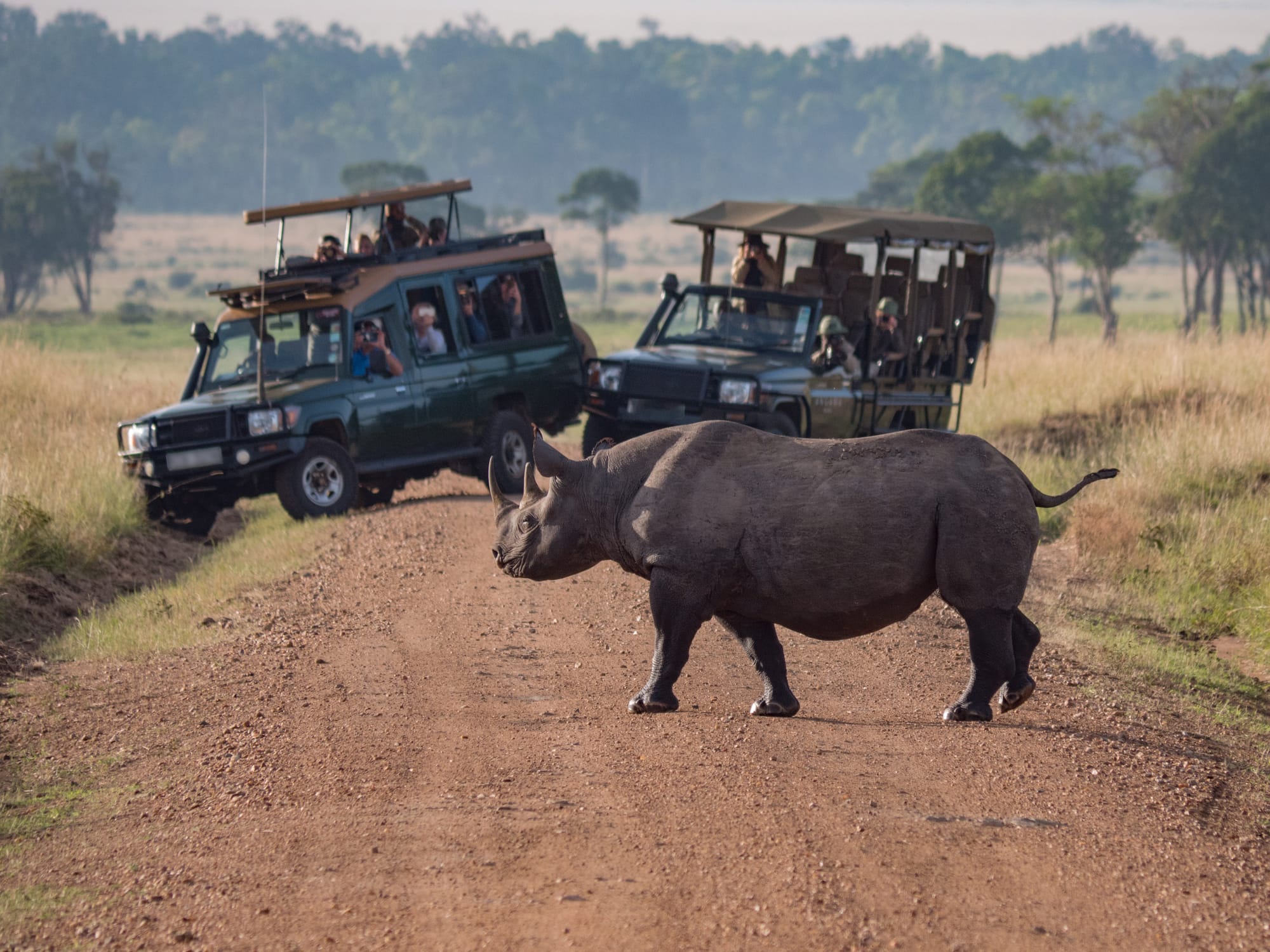 3 Days Safari Camping Tarangire National park & Ngorongoro crater