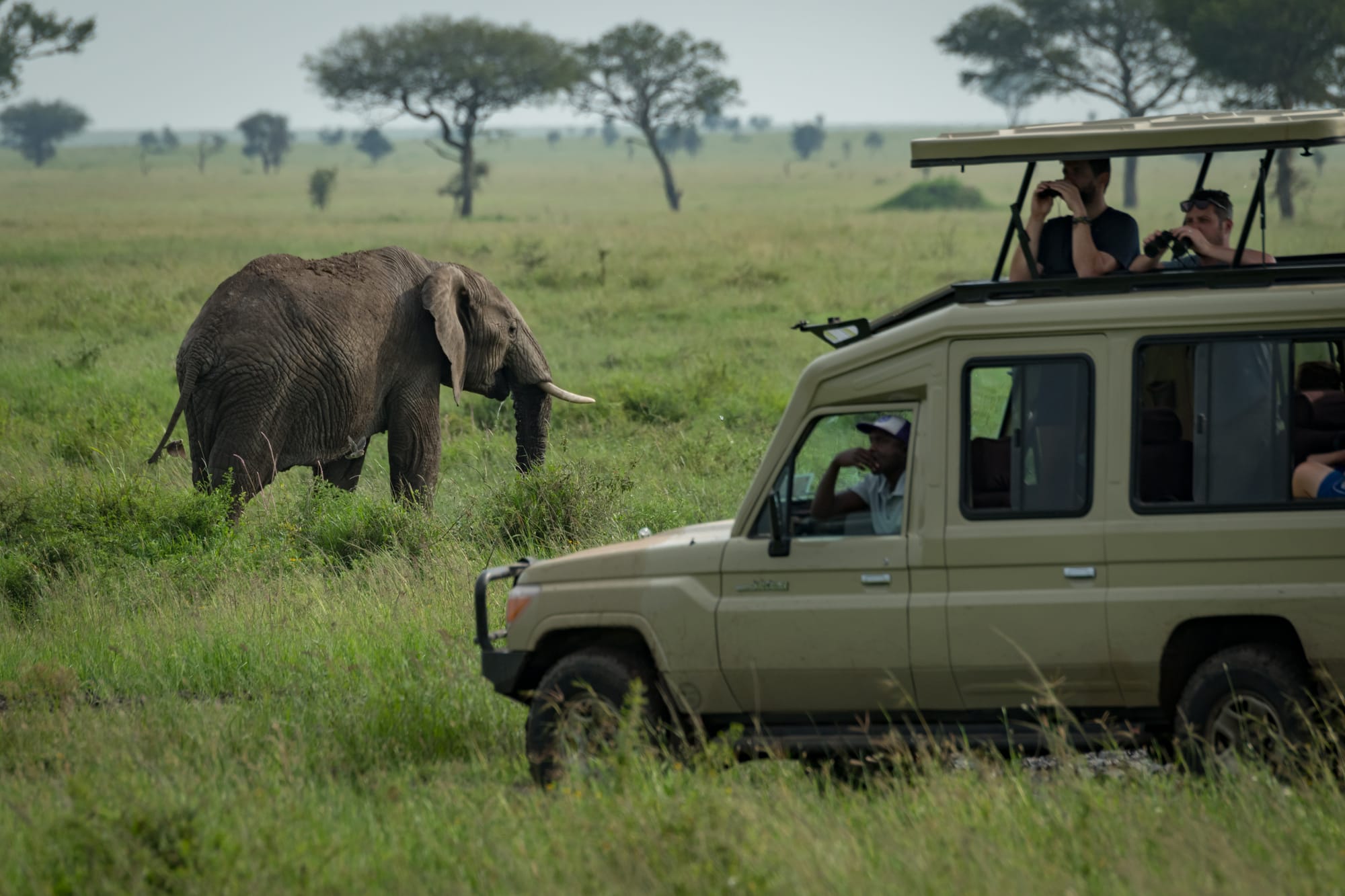 4 Days Tanzania Affordable Camping Safari