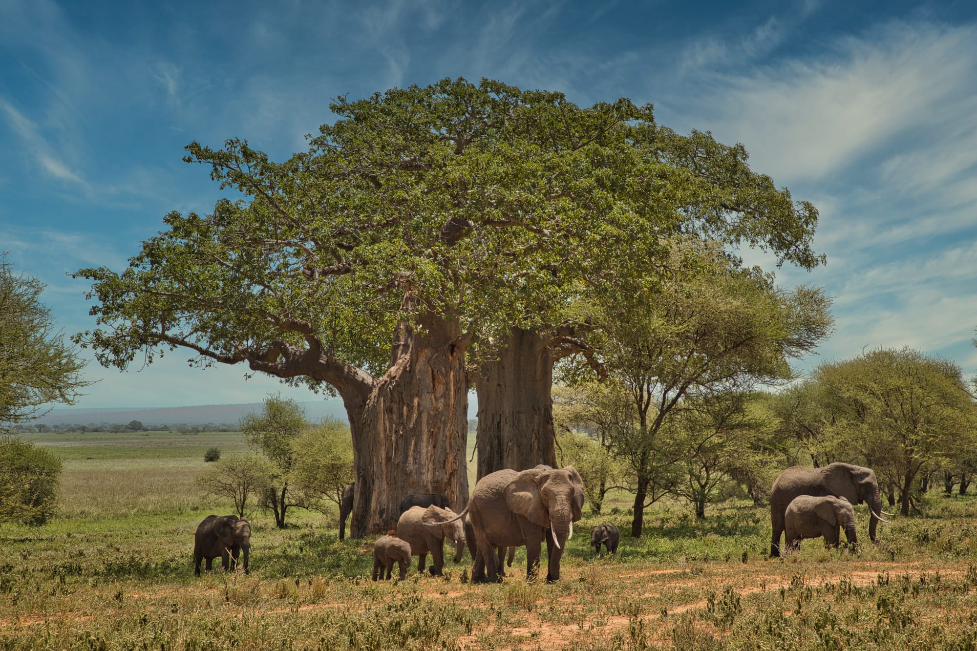 7 Tage Camping-Safari, Wild Explore