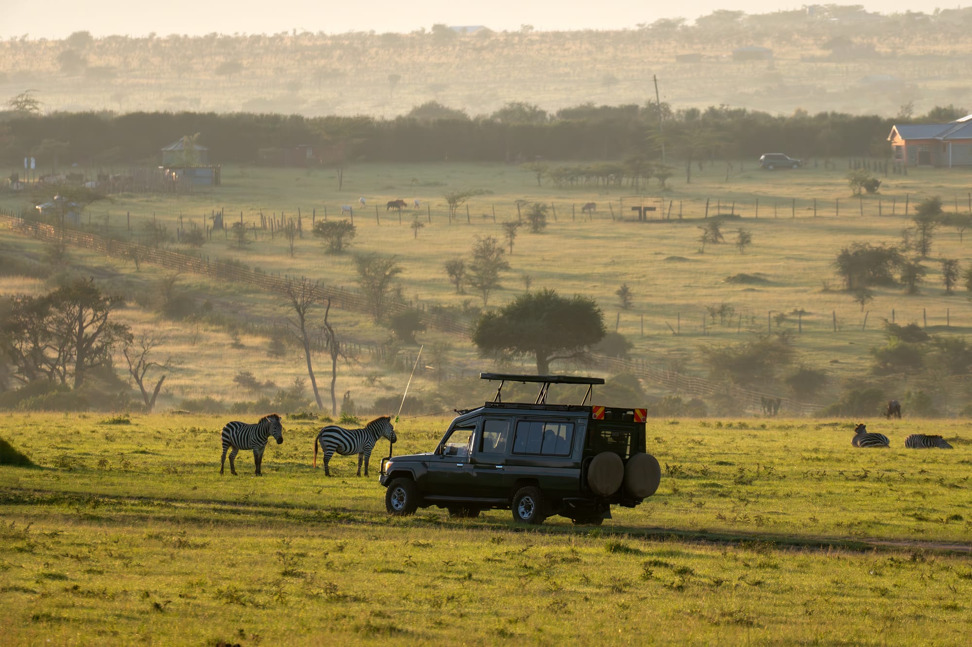5-Days 4 Night Wildebeest Migration & L.Natroni