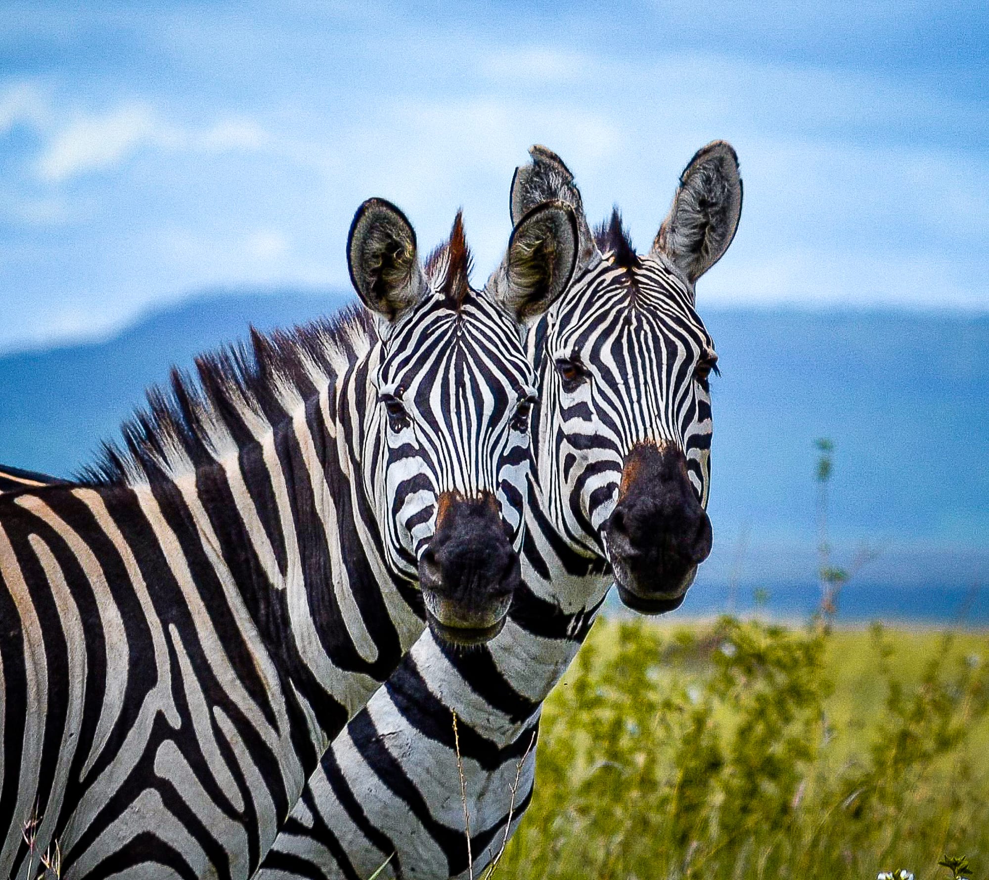 7 DAYS 6 NIGHT NDUTU CALVING SEASON SAFARI
