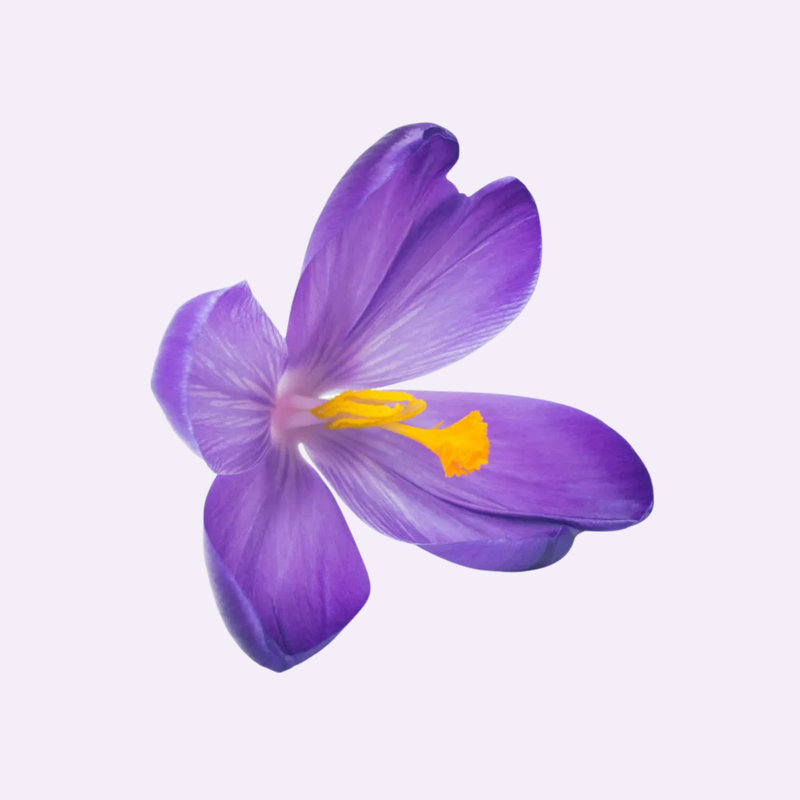 Initial Consultation