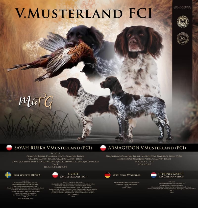 Miot G - Oczekiwany w połowie marca 2026 r.