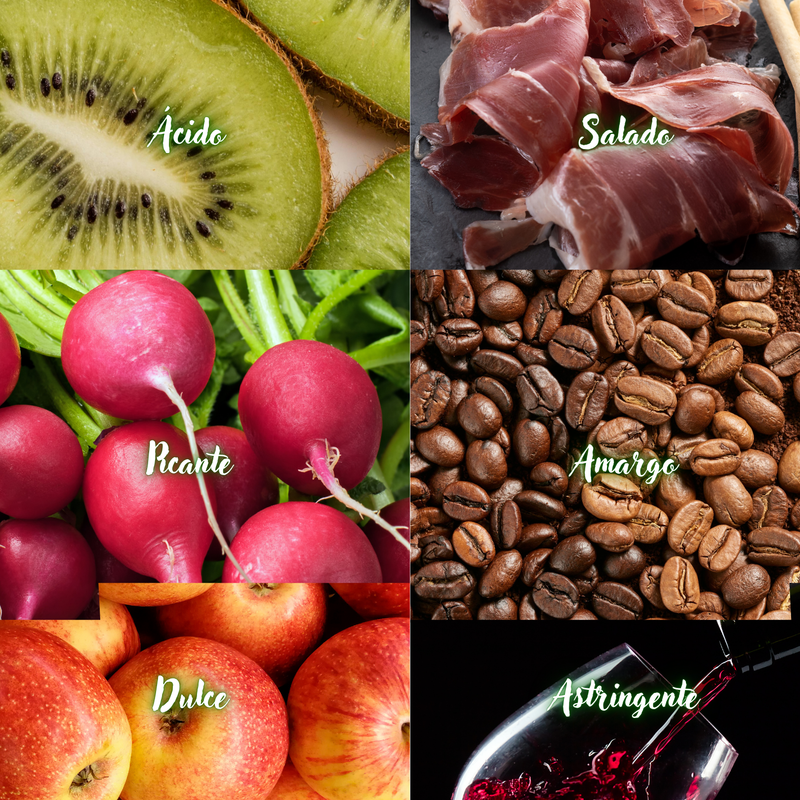 Los Sabores: Más que Gusto, un Lenguaje que Habla con el Cuerpo