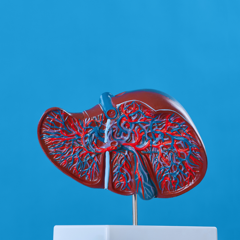 La importancia de detoxificar el hígado: el guardián silencioso de tu salud