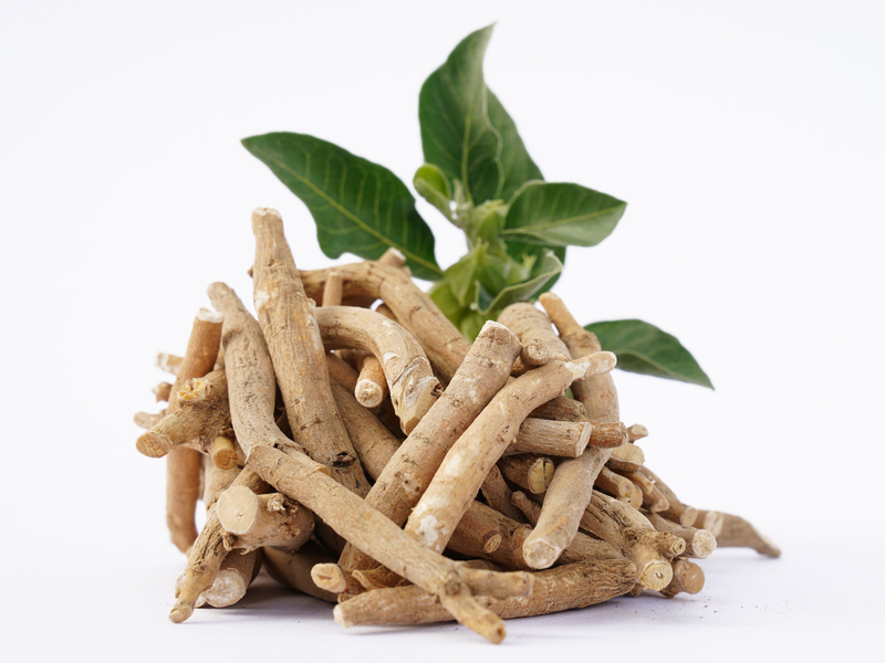 Ashwagandha: ciencia, tradición y equilibrio