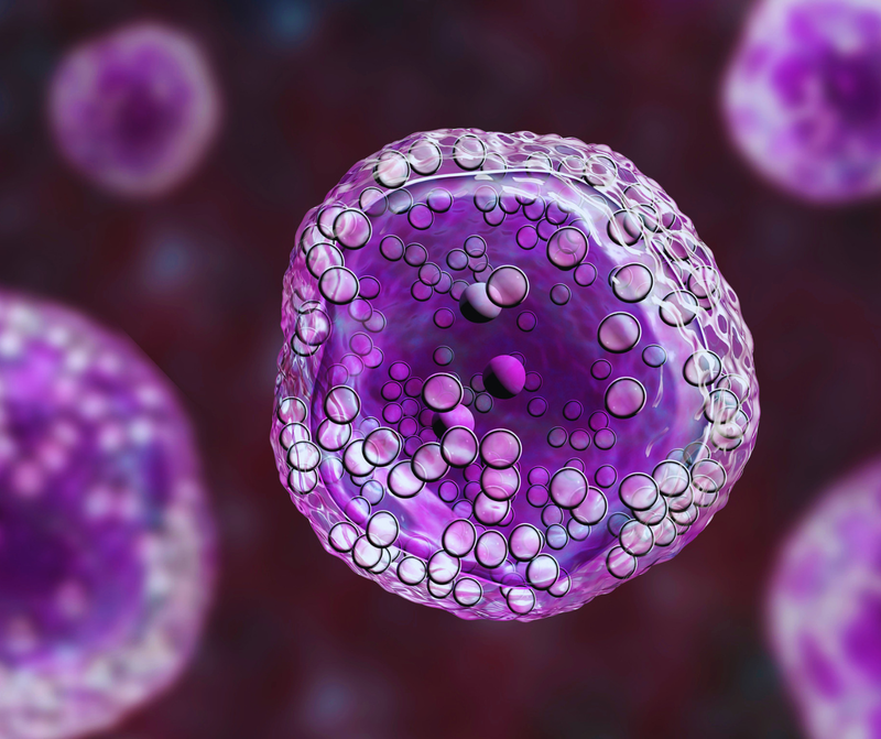 Radicales libres: cómo aceleran el envejecimiento