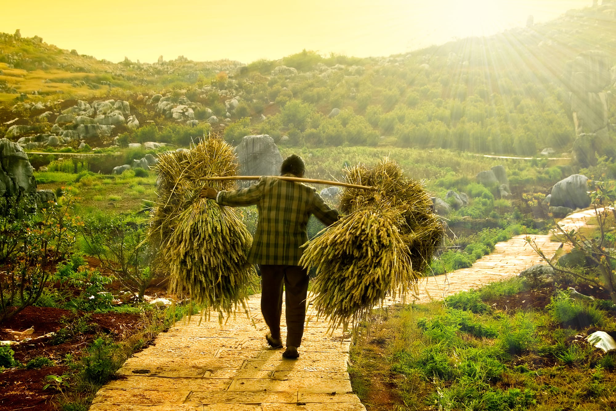 Serviteurs inutiles : 27e Dimanche du Temps Ordinaire C