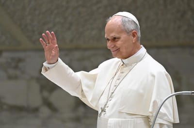 Du lundi 12 au dimanche 17 janvier 2026 du Pape Léon XIV