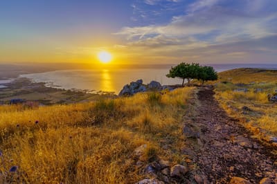 Troisième dimanche de Pâques : Au bord du lac avec Jésus ressuscité