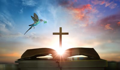 La splendeur d’un cœur pur : 6ème Diamanche du Temps Ordinaire A