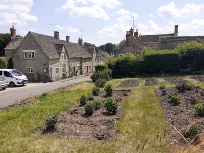 Internal audit 2024/25