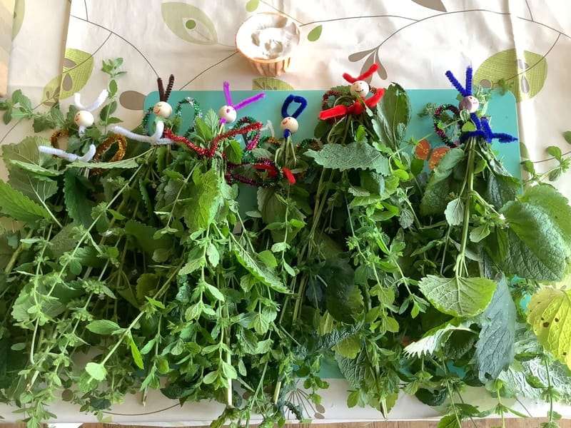 Junior Herbalist Club, Liverpool