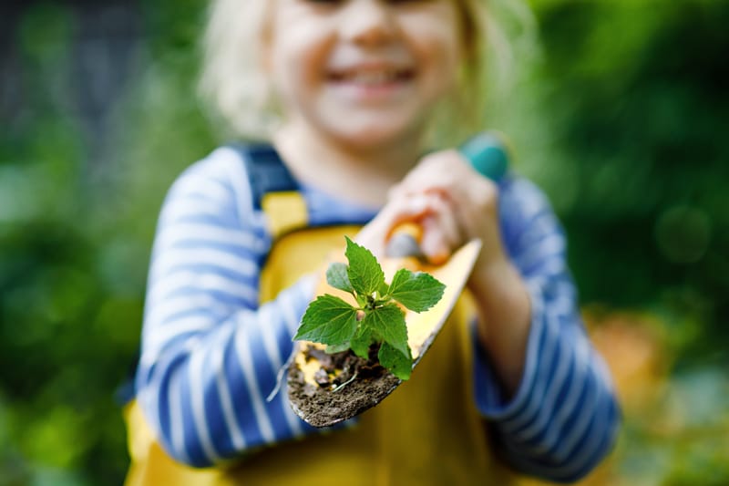 Junior Herbalist Club Eastleigh - Level One