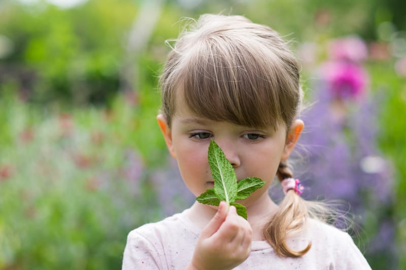 Junior Herbalist Club Level One (After School Group)