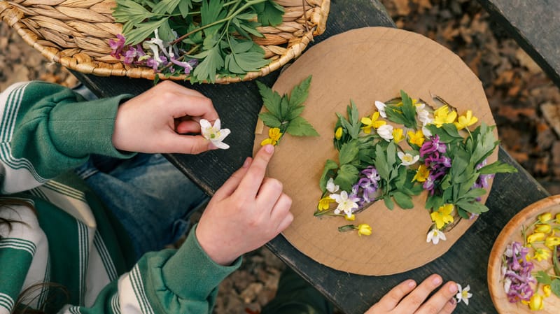 Junior Herbalist Club Edinburgh 2027 - Level One