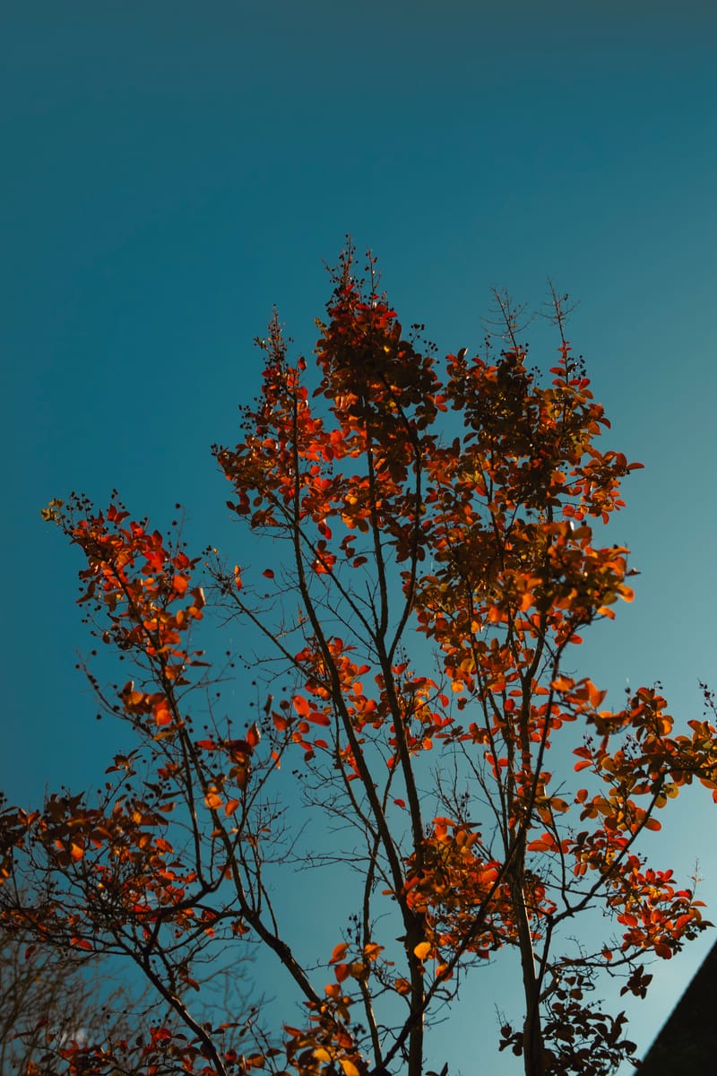 Les Ateliers Mieux-être