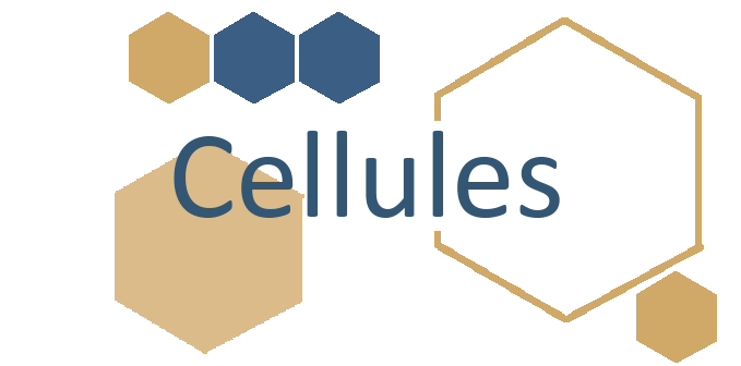 Cellules