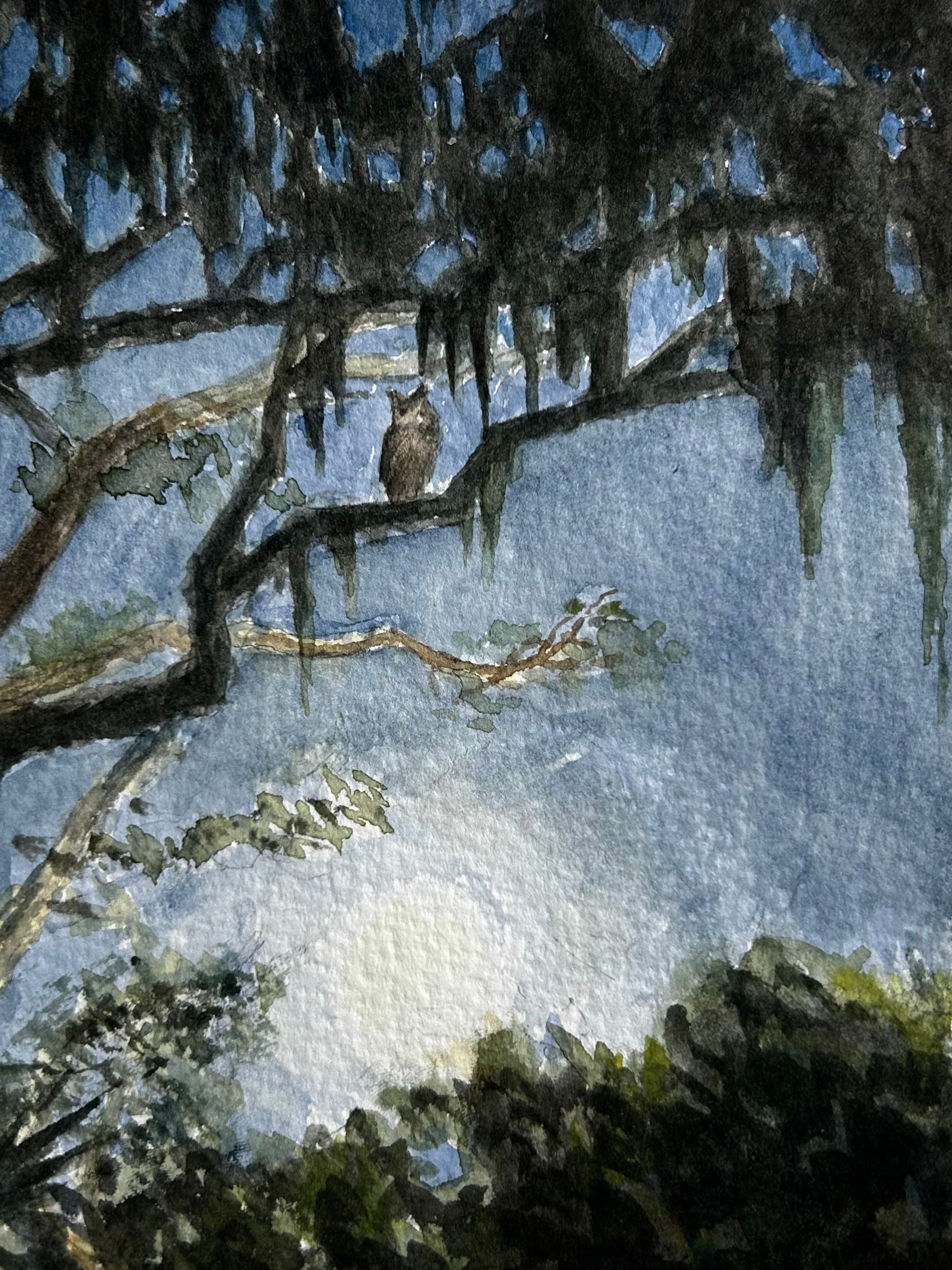 "Owl in the Moonlight" 5x7 watercolor on paper (2026)