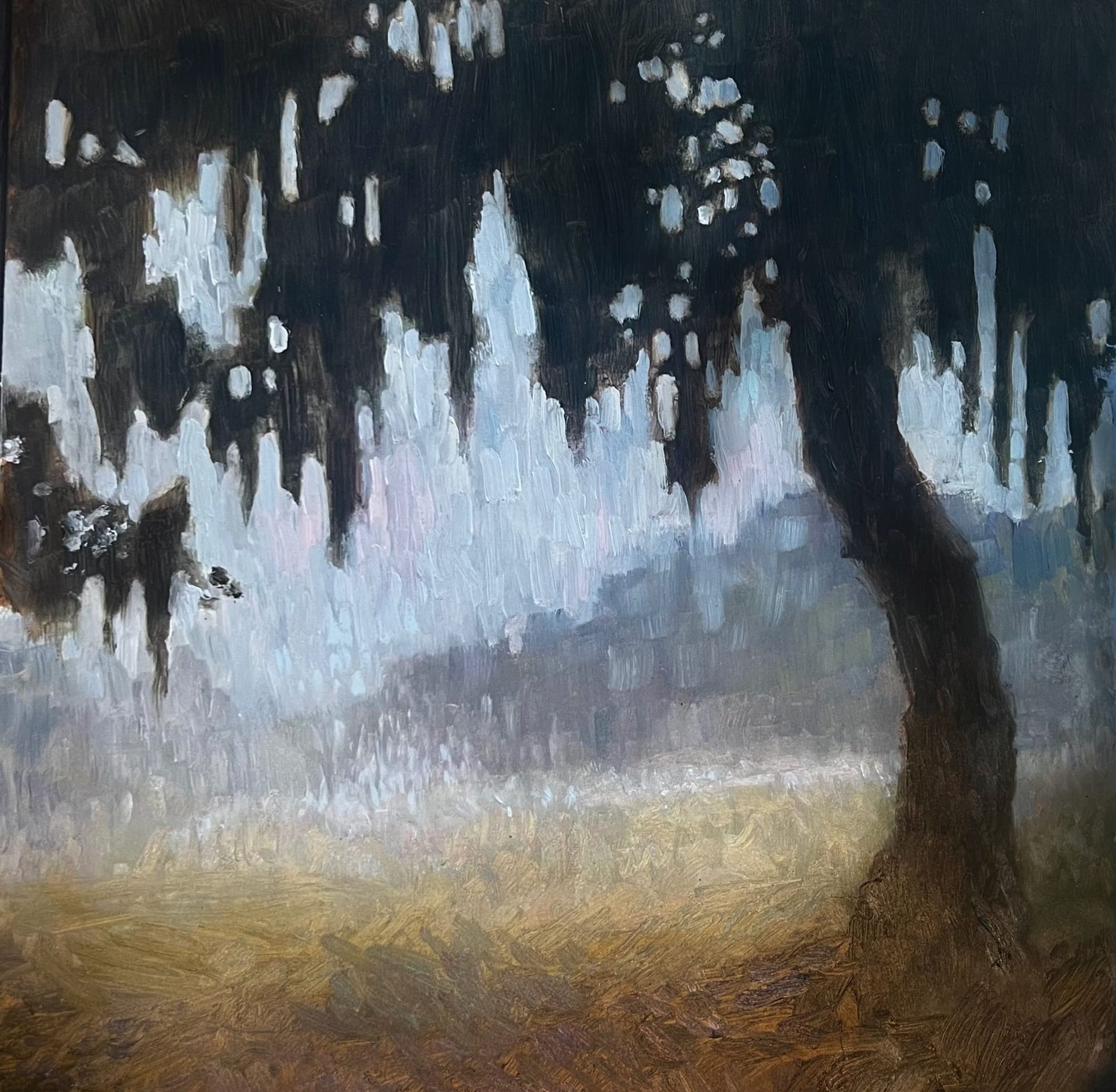 "Spanish Moss in the Morning Mist" 10x10 oil on wood (2026) SOLD