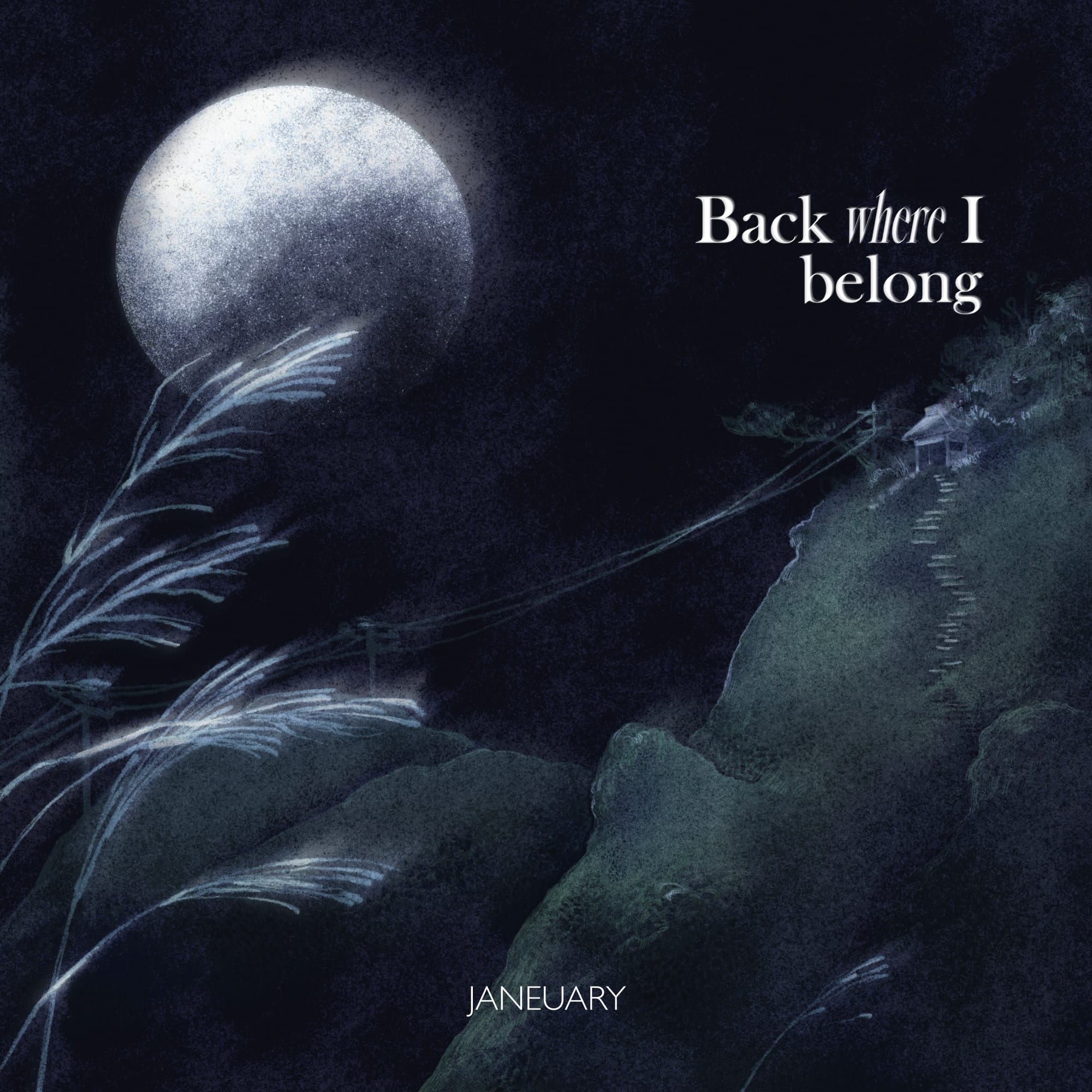 Reseña de "Back Where I Belong" - Janeuary