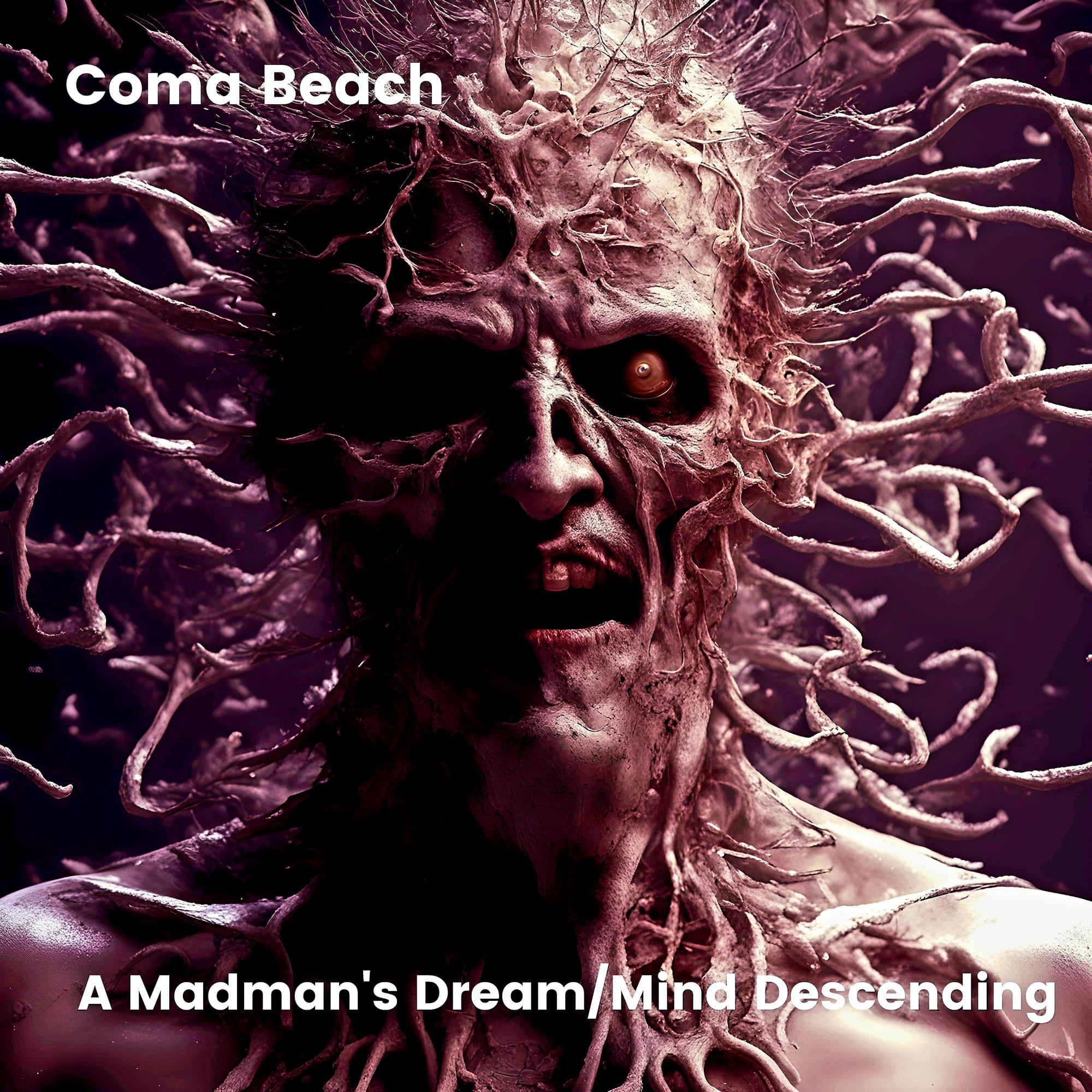 Coma Beach - "A Madman's Dream/Mind Descending"