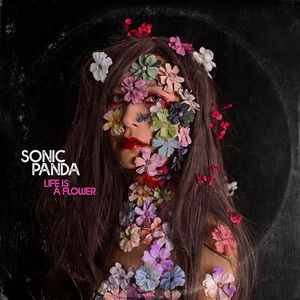 Sonic Panda - "Life Is A Flower