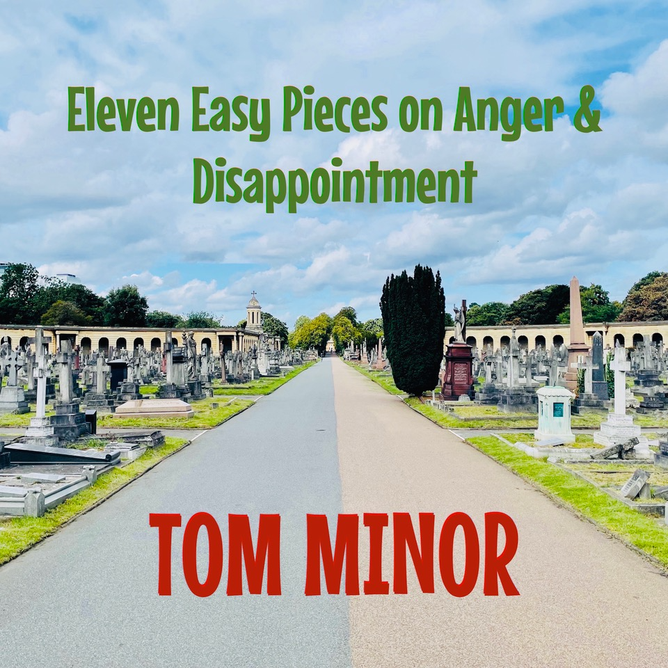 Tom Minor - "Eleven Easy Pieces on Anger & Disappointment"