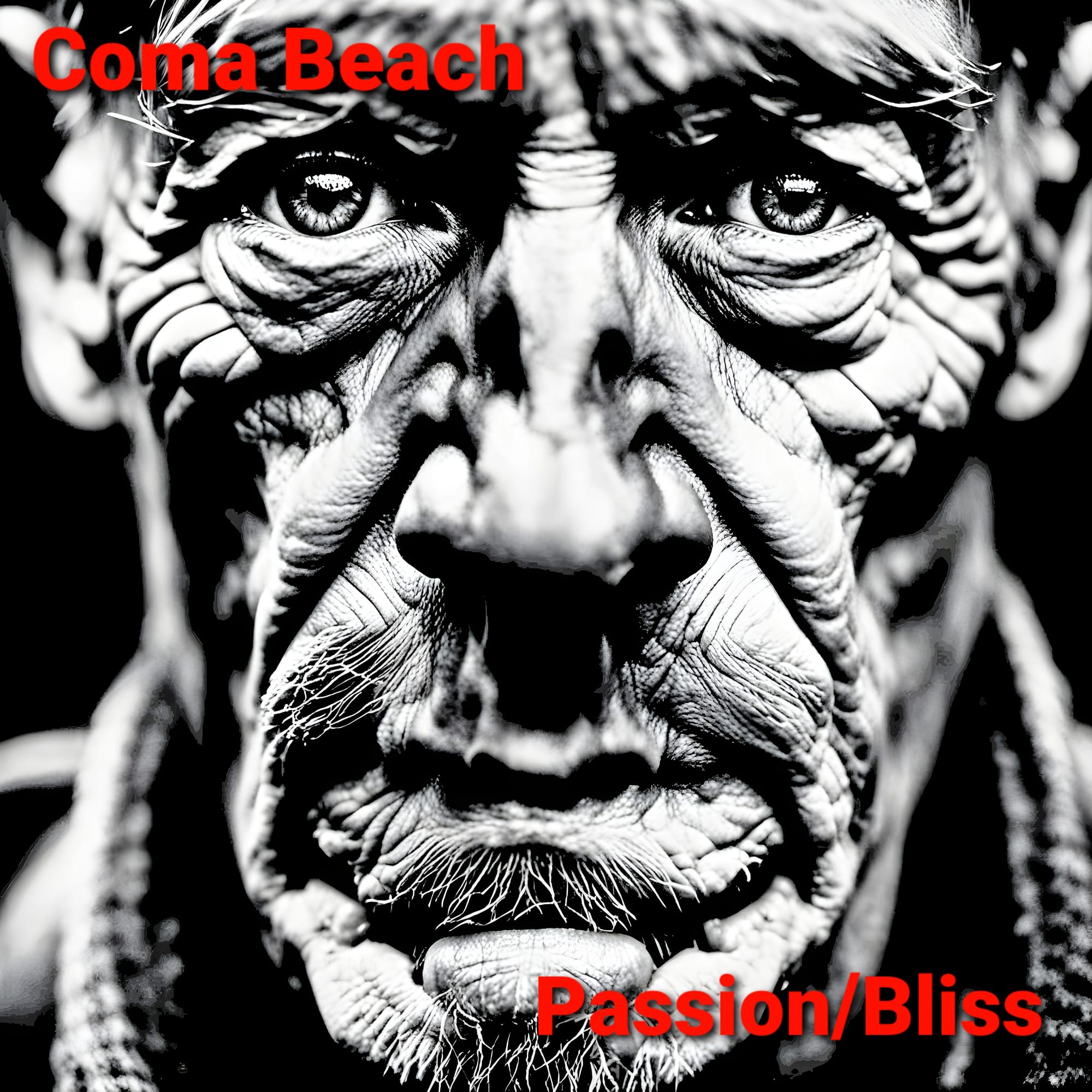 Coma Beach - "Passion/Bliss"