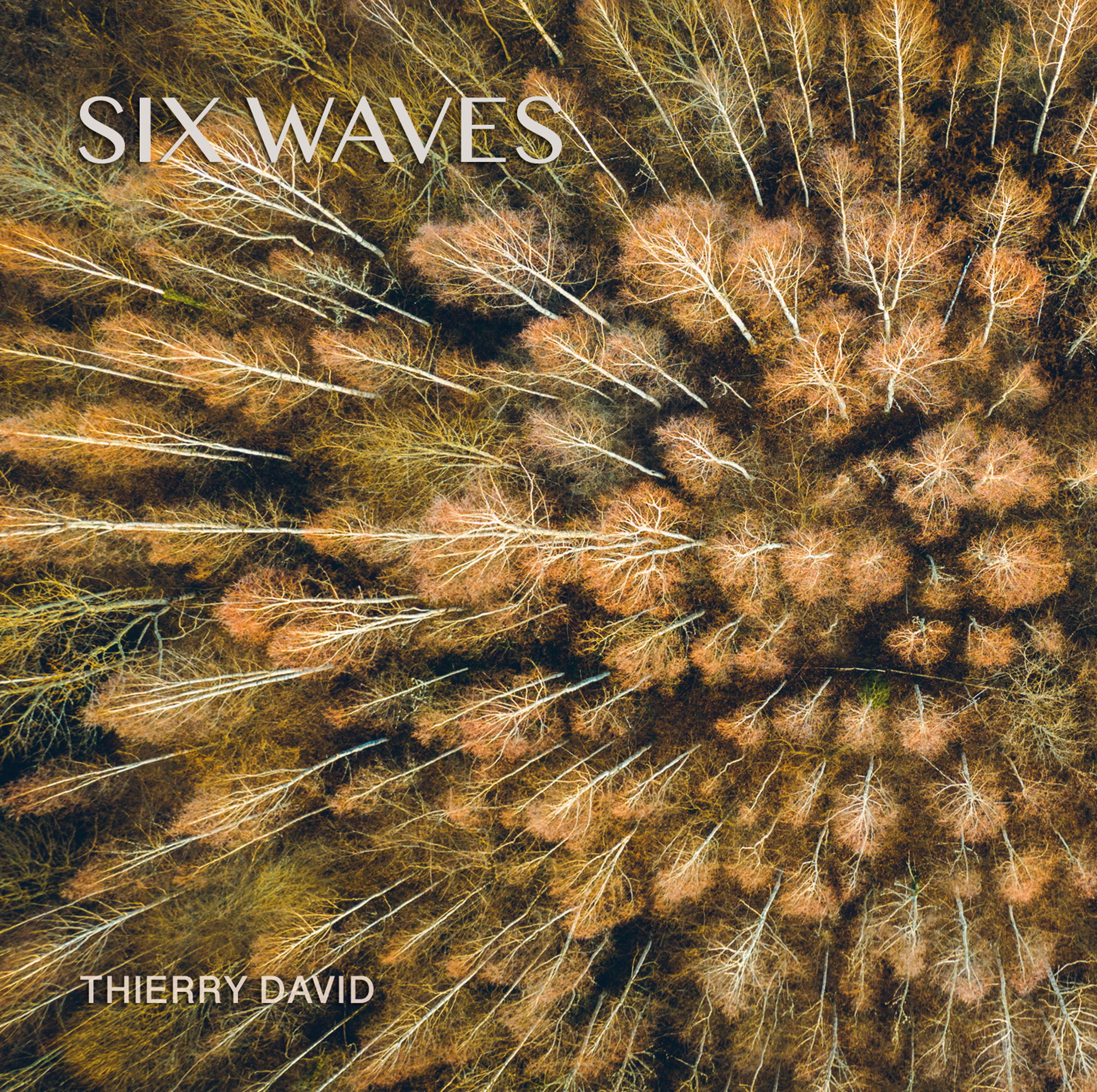 Thierry David - "Six Waves"