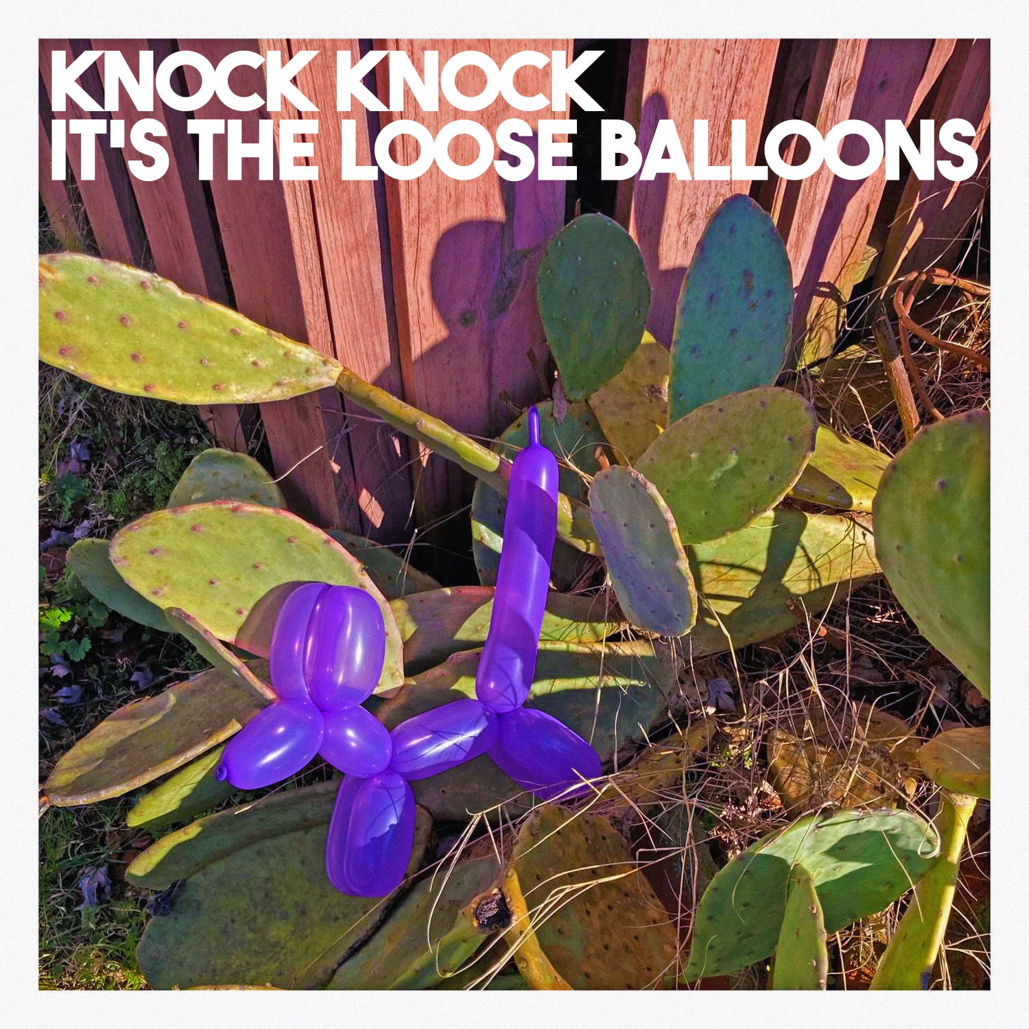 Mahto & The Loose Balloons - "Knock Knock It’s The Loose Balloons"